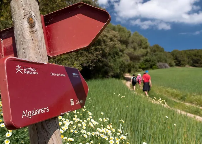 Alondra B6 By Bookmenorcavillas Santo Tomás