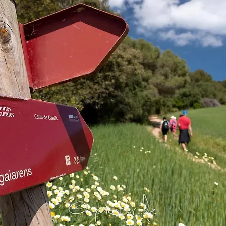 Alondra B6 By Bookmenorcavillas Santo Tomás